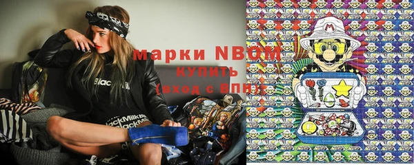 стафф Алзамай