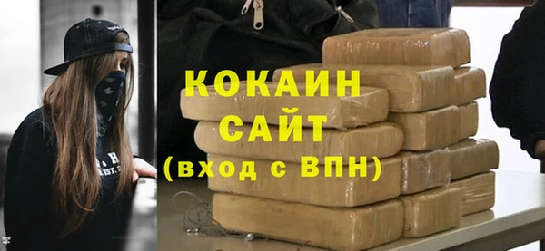 стафф Алзамай