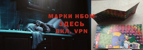 стафф Алзамай