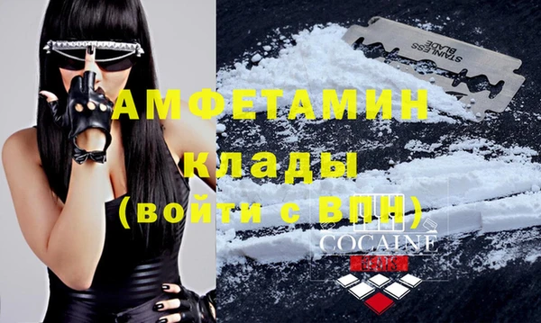 стафф Алзамай