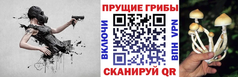 Галлюциногенные грибы Psilocybe Саранск